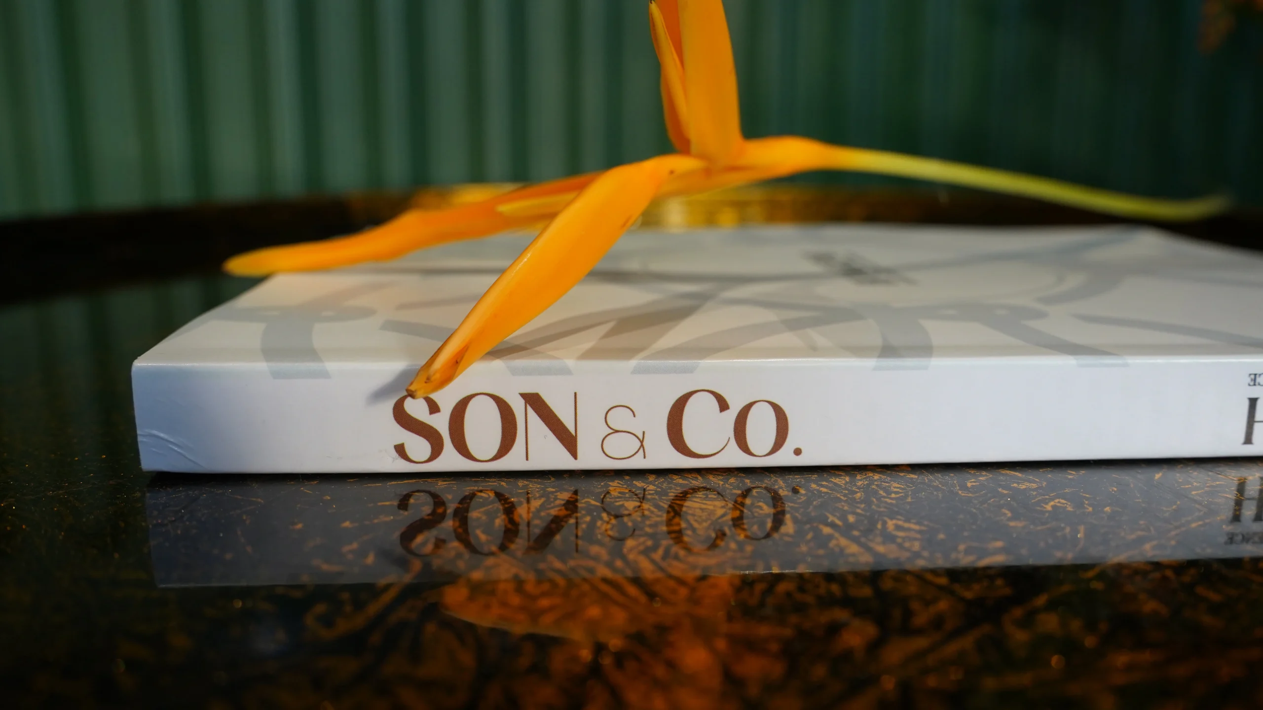 Ảnh chụp ngang thiết kế thảm bộ sưu tập Son&co.