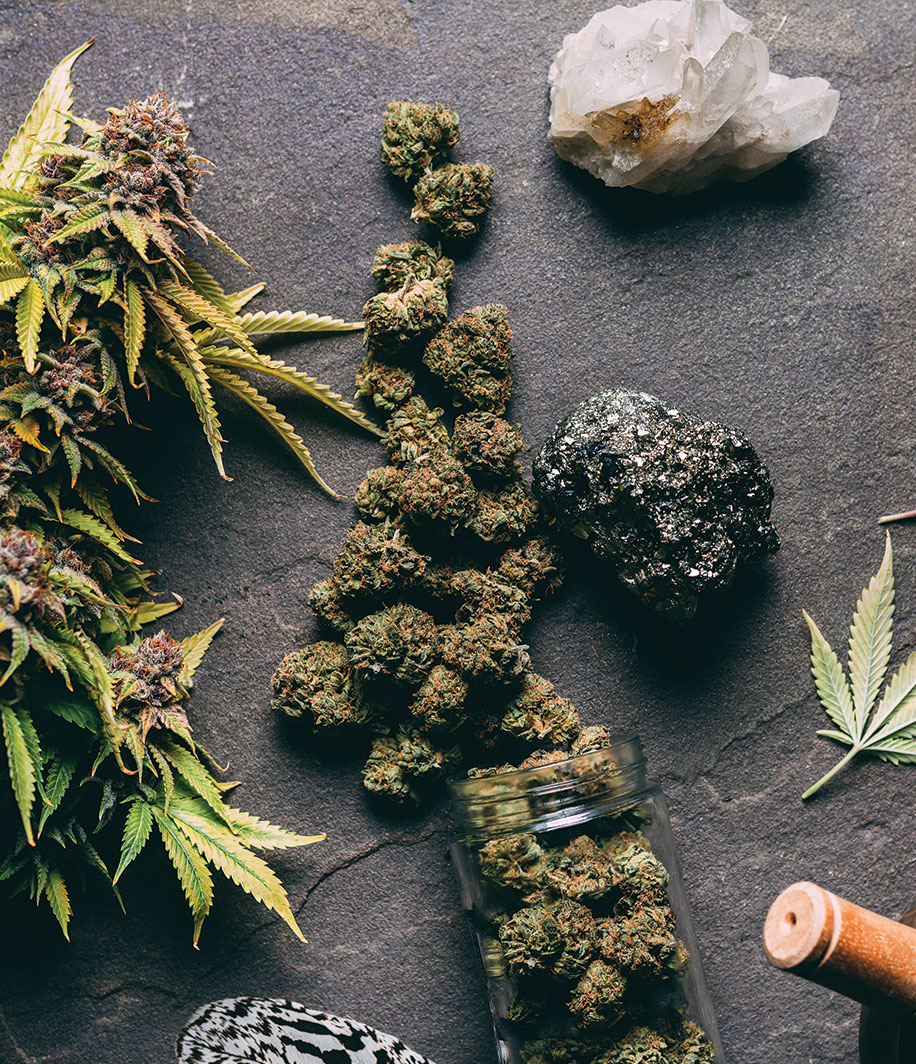 GRAPE STOMPER AAAA 10 - Image 10